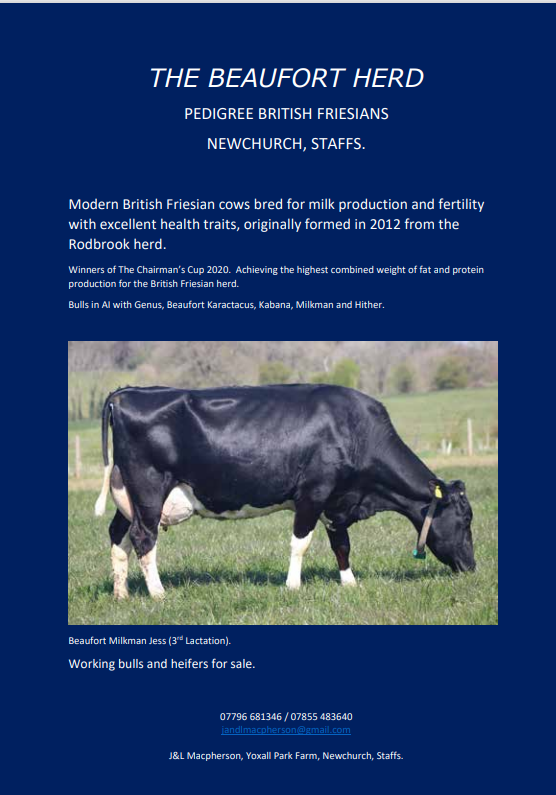 Herd Advertisements 2023 24 British Friesian Breeders Club