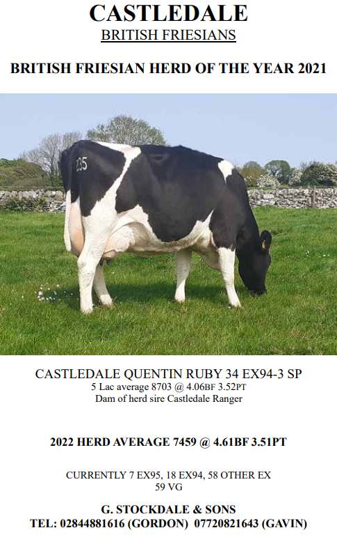 Herd Advertisements 2023 24 British Friesian Breeders Club