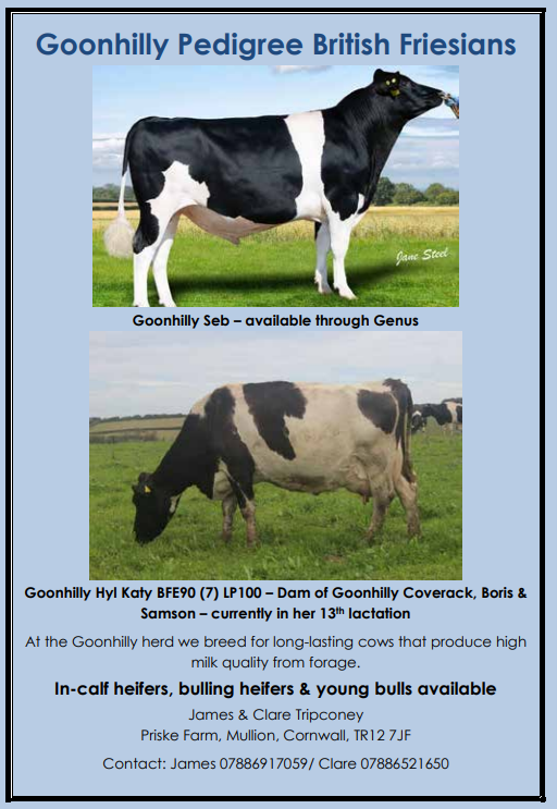 Herd Advertisements 2023 24 British Friesian Breeders Club