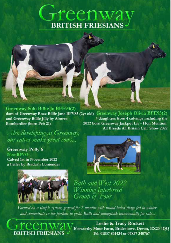 Herd Advertisements 2023 24 British Friesian Breeders Club