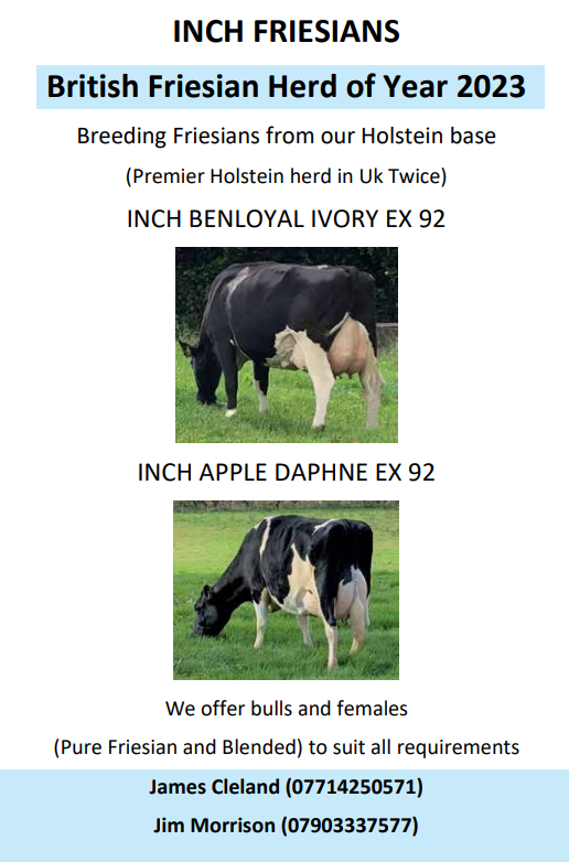 Herd Advertisements 2023 24 British Friesian Breeders Club