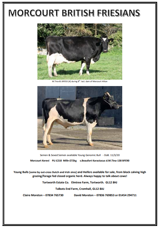 Herd Advertisements 2023 24 British Friesian Breeders Club